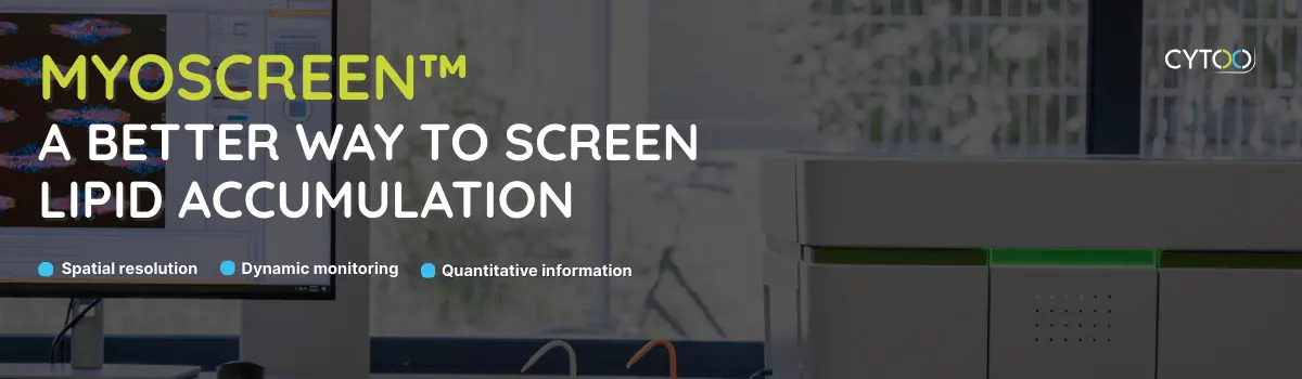 Monitoring lipid accumulation in muscle cells with imaging - CYTOO