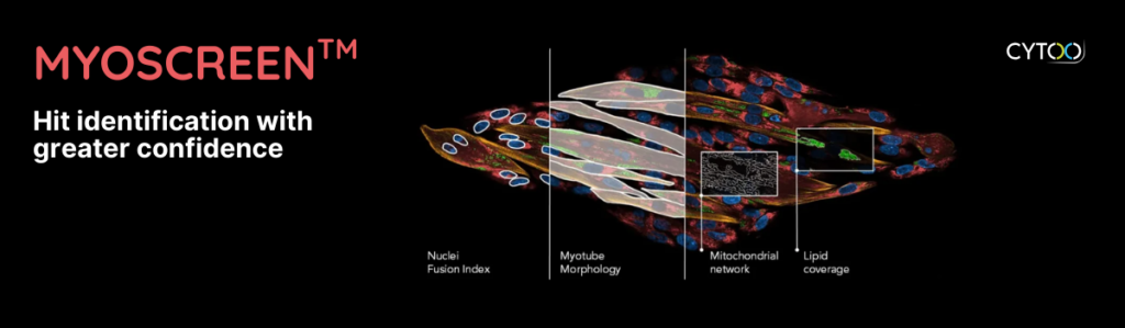 Hit Identification Service 🎯HIT identification in muscle drug discovery: how many of your
