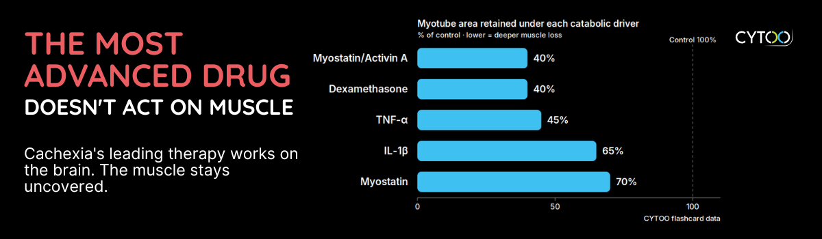 Cachexia's leading therapy works on the brain. The muscle stays uncovered.